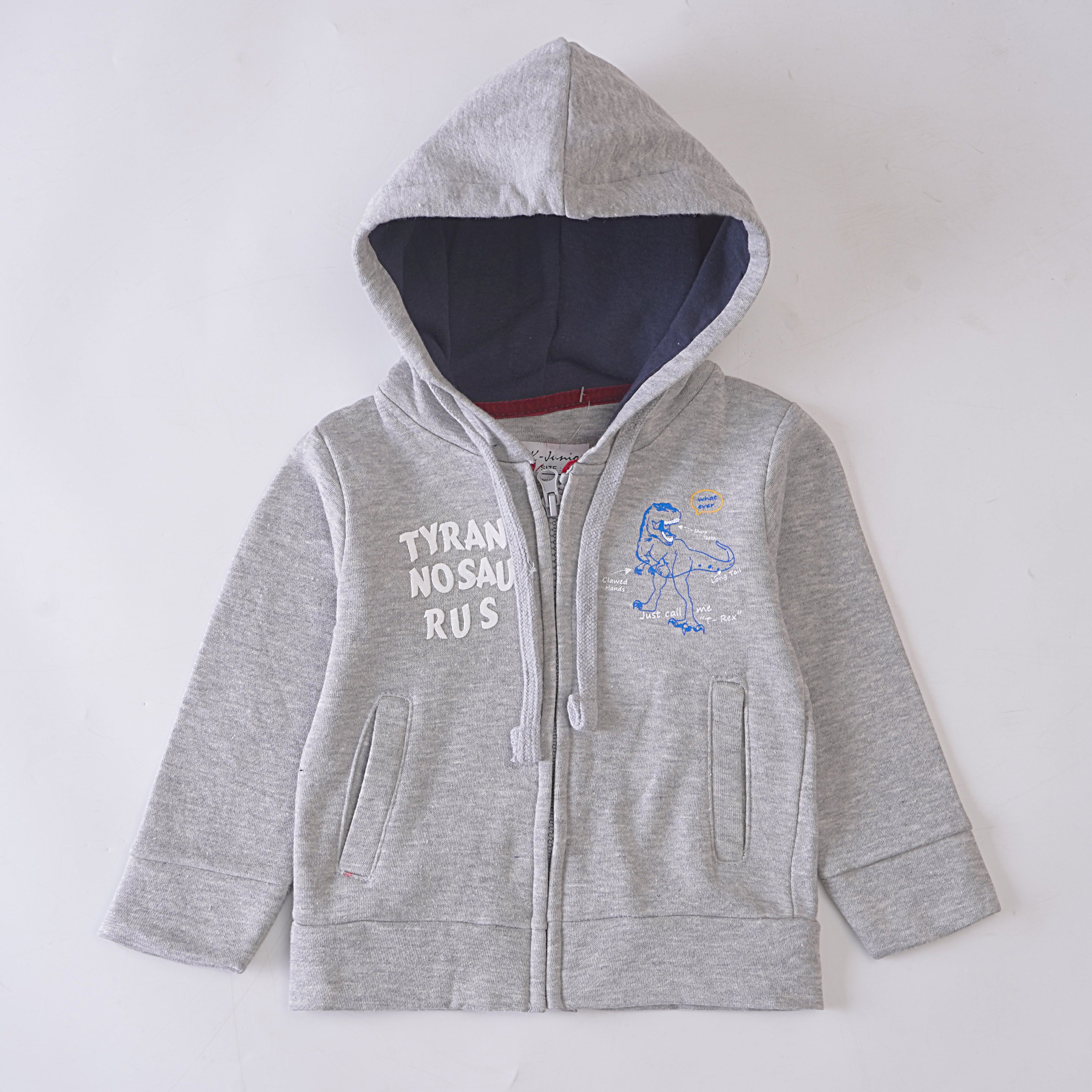 Boys Hoodies (Tryan)