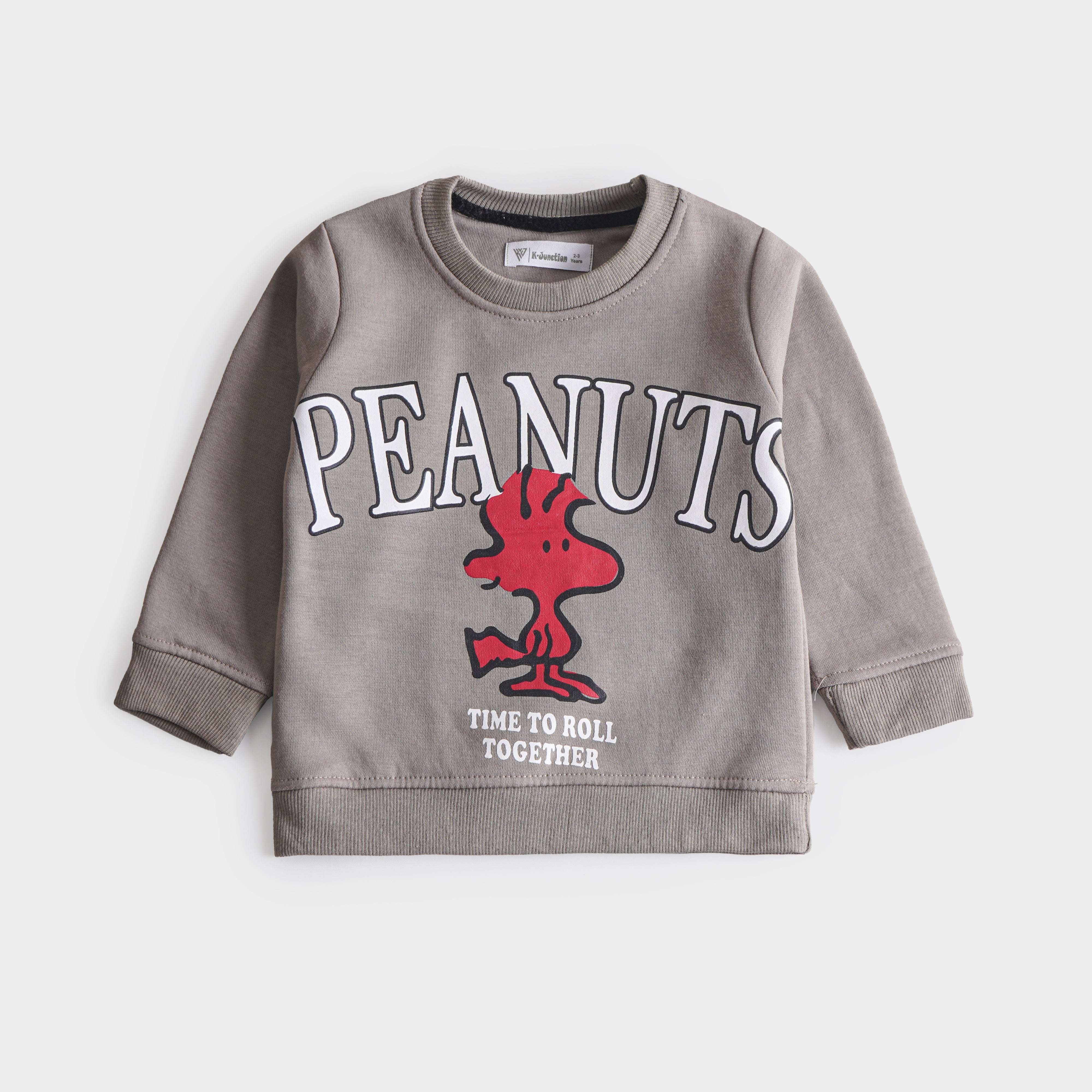 Boys Fleece Sweatshirt