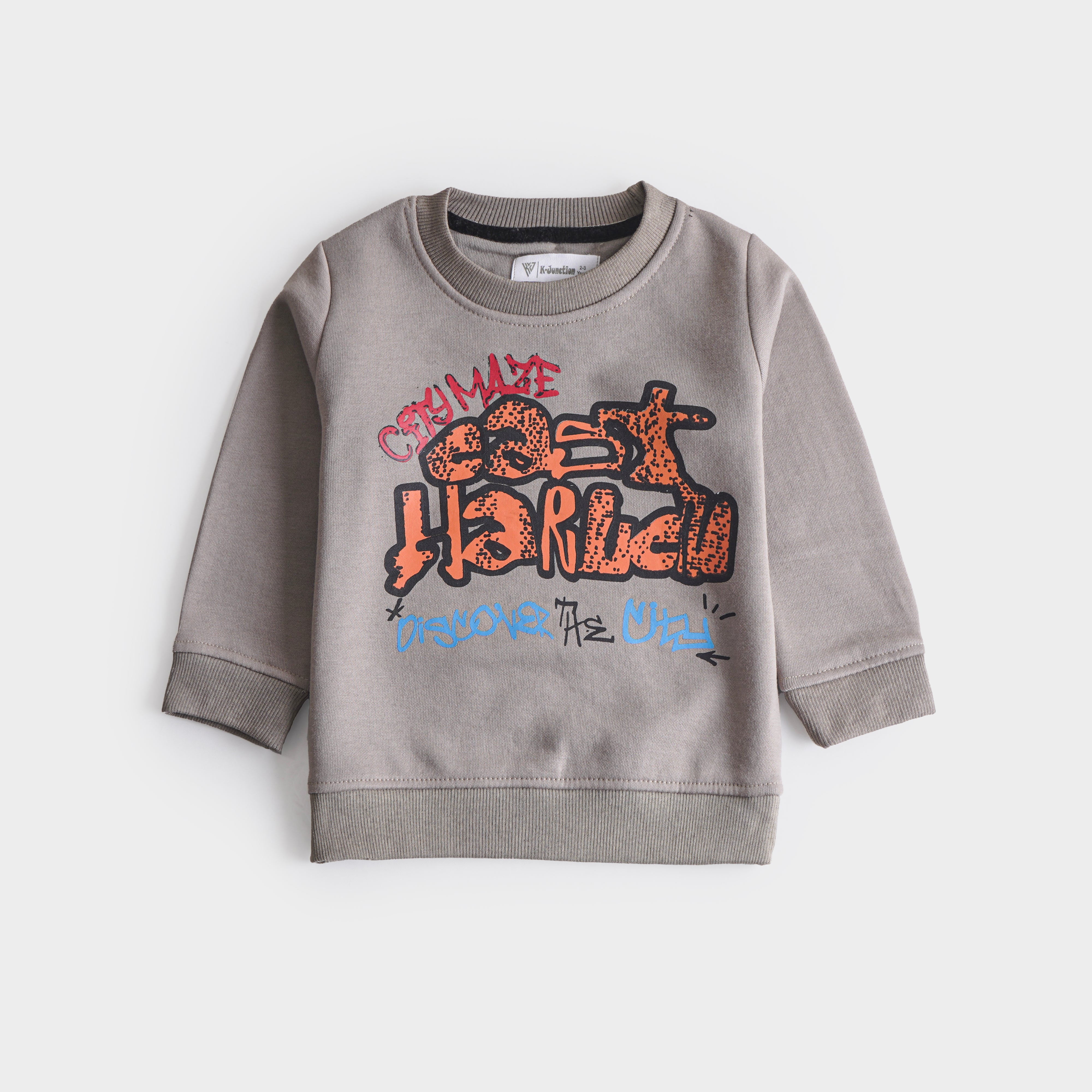 Boys Fleece Sweatshirt