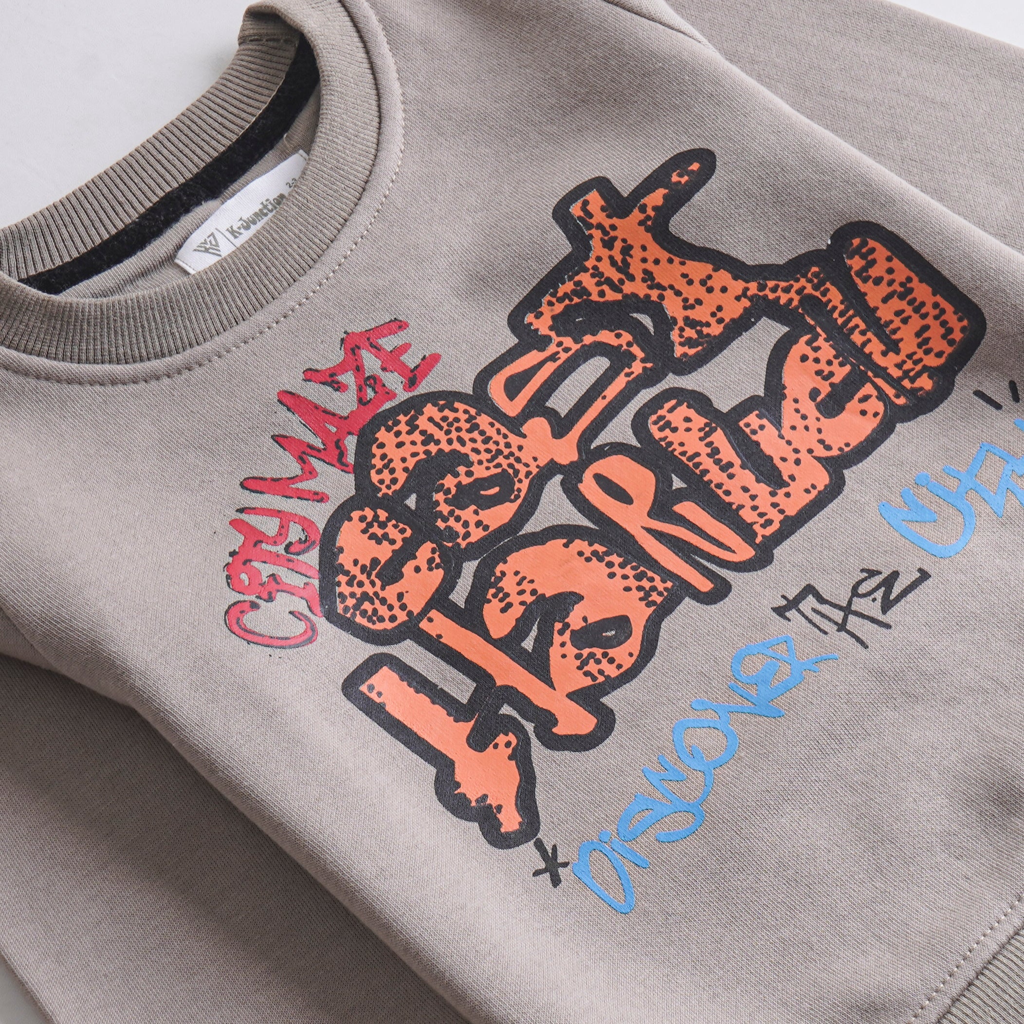 Boys Fleece Sweatshirt