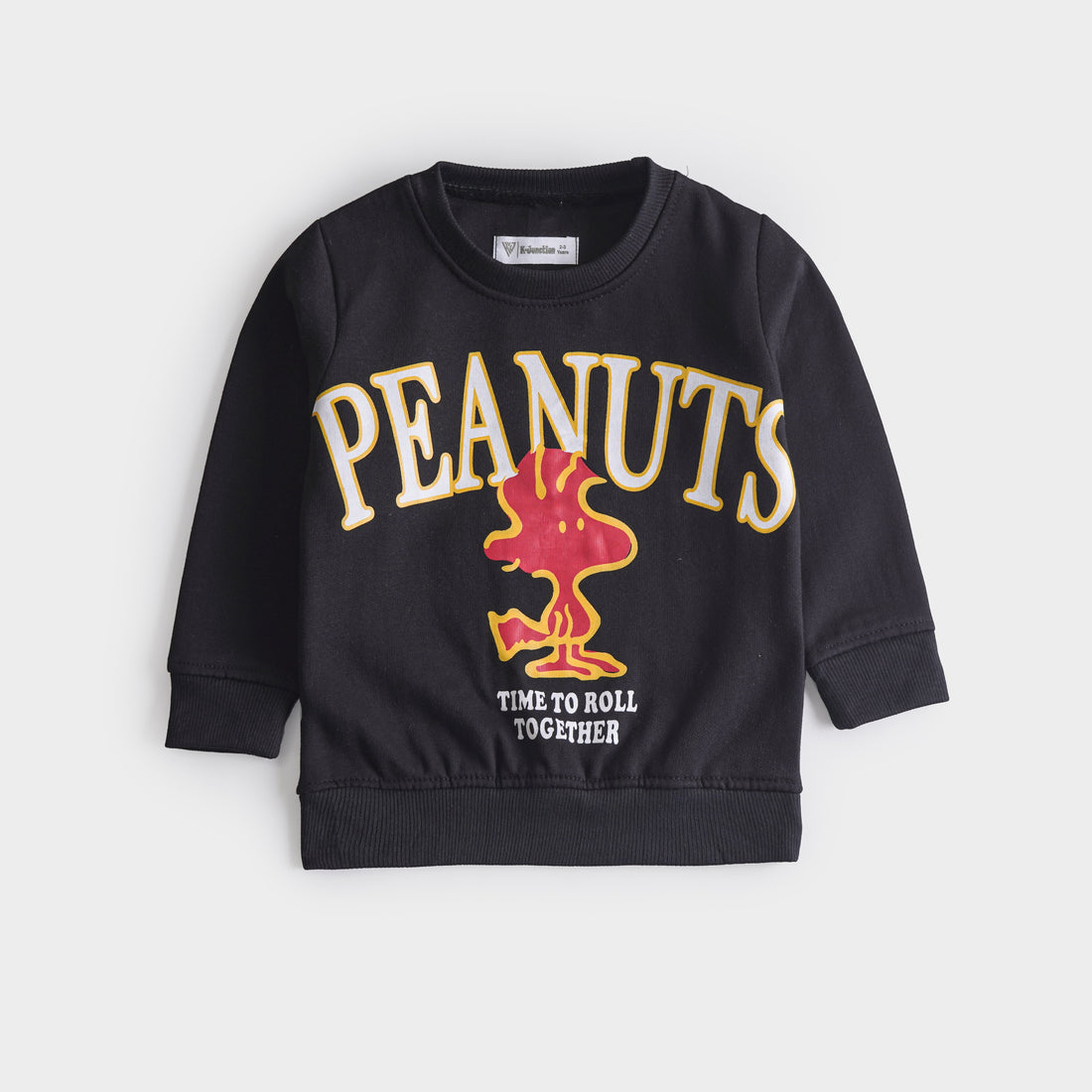 Boys Fleece Sweatshirt