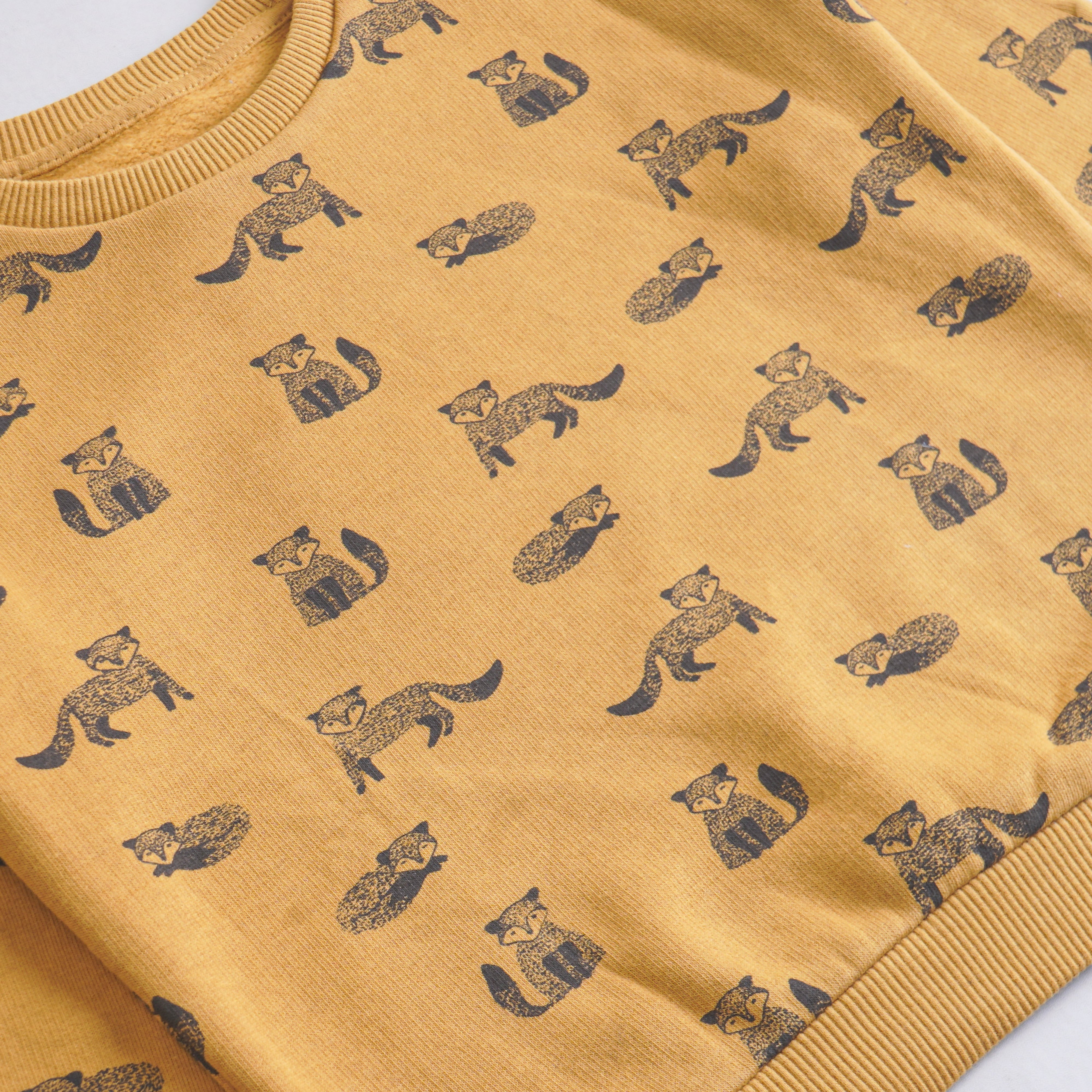 Boys Fleece Sweatshirt