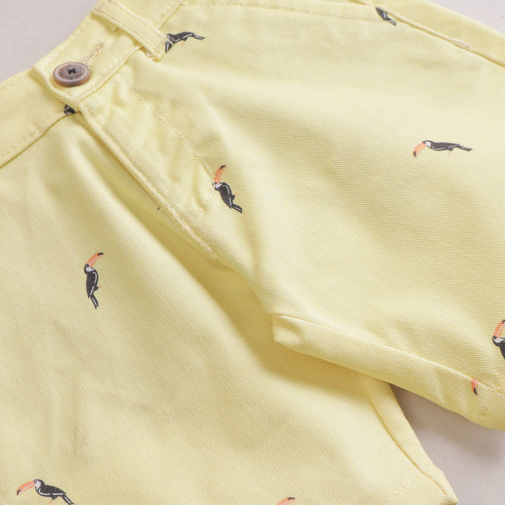 Boys Cotton Shorts