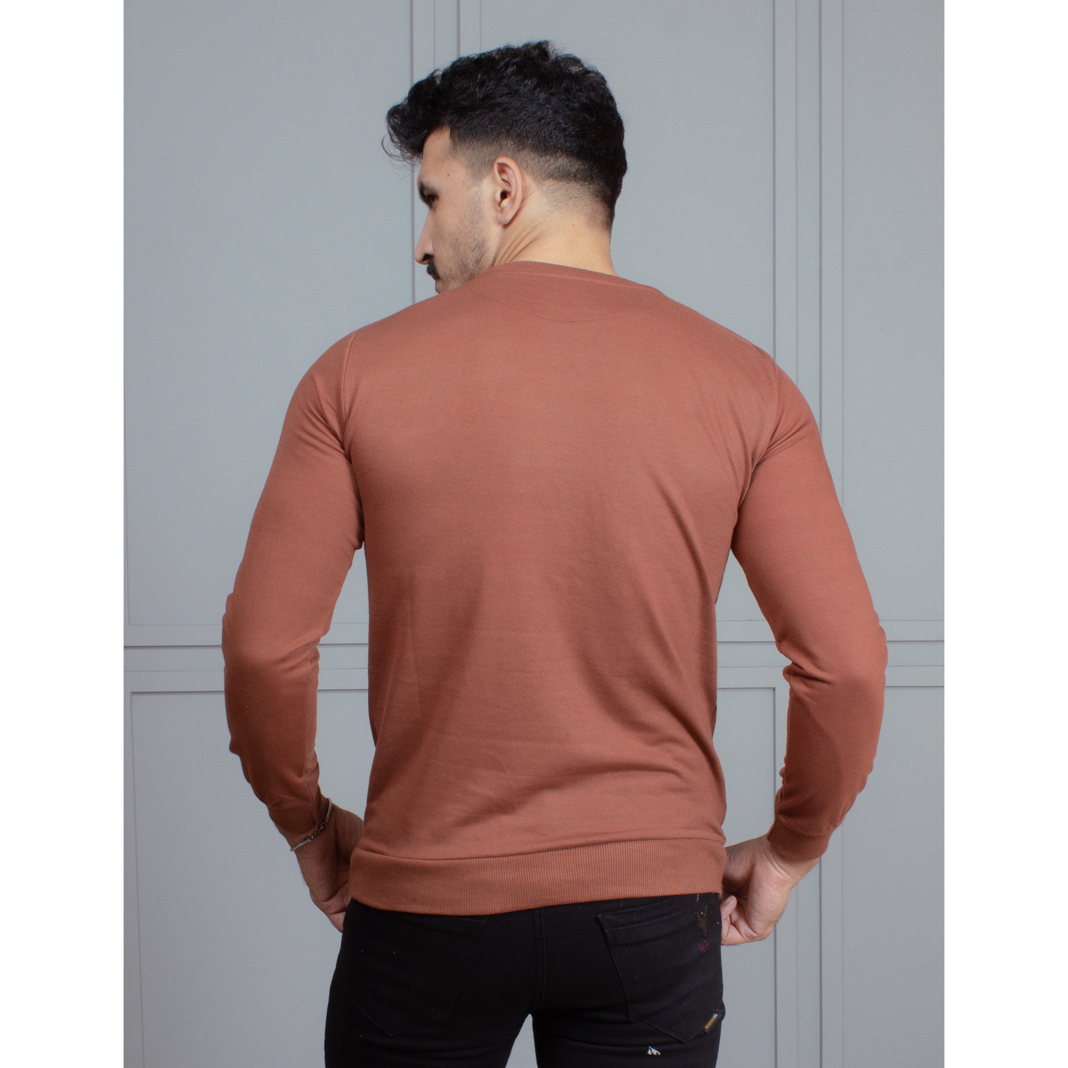 Mens Sweatshirt (Malibu)