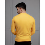 Mens Sweatshirt (95)