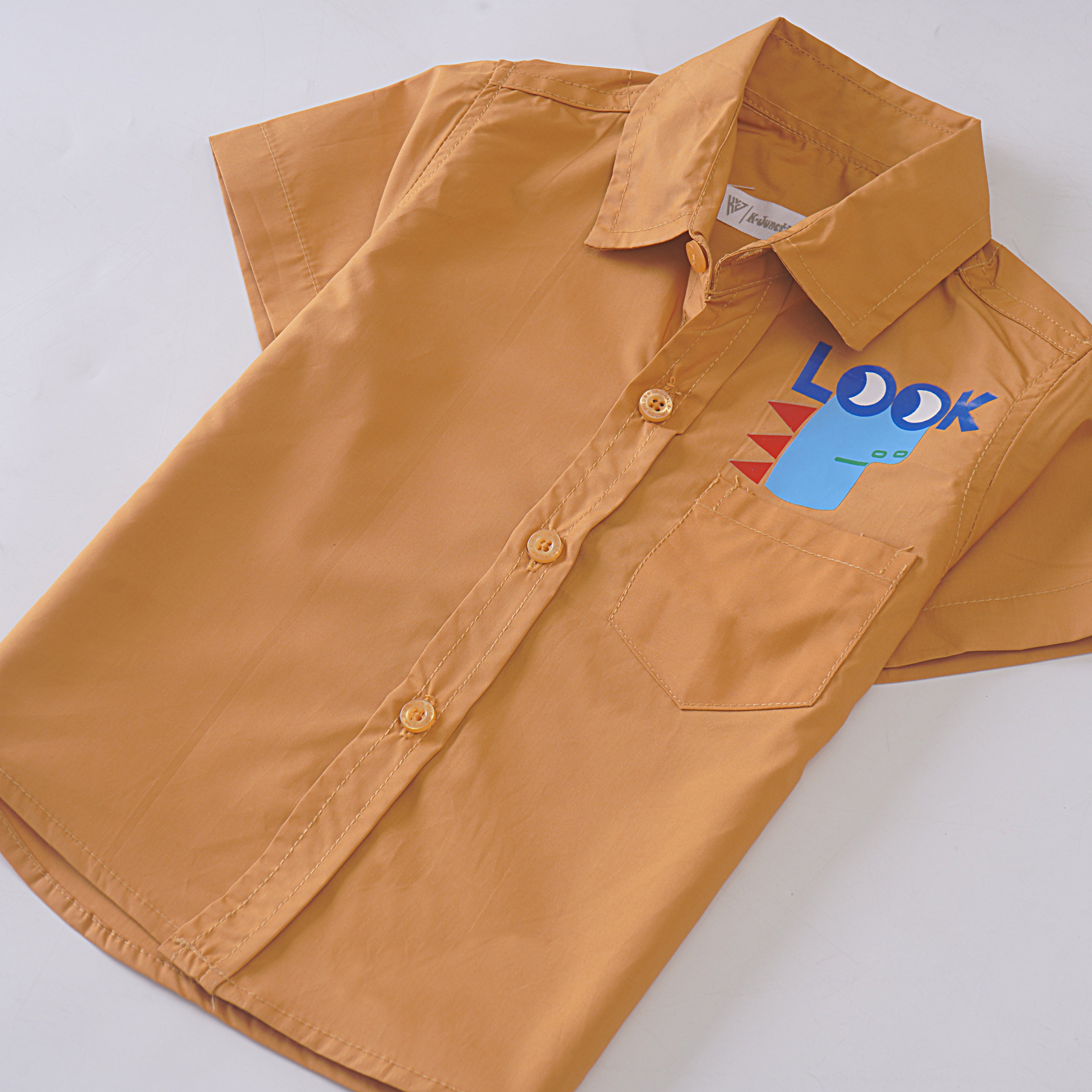 Boys Half Sleeves Shirt