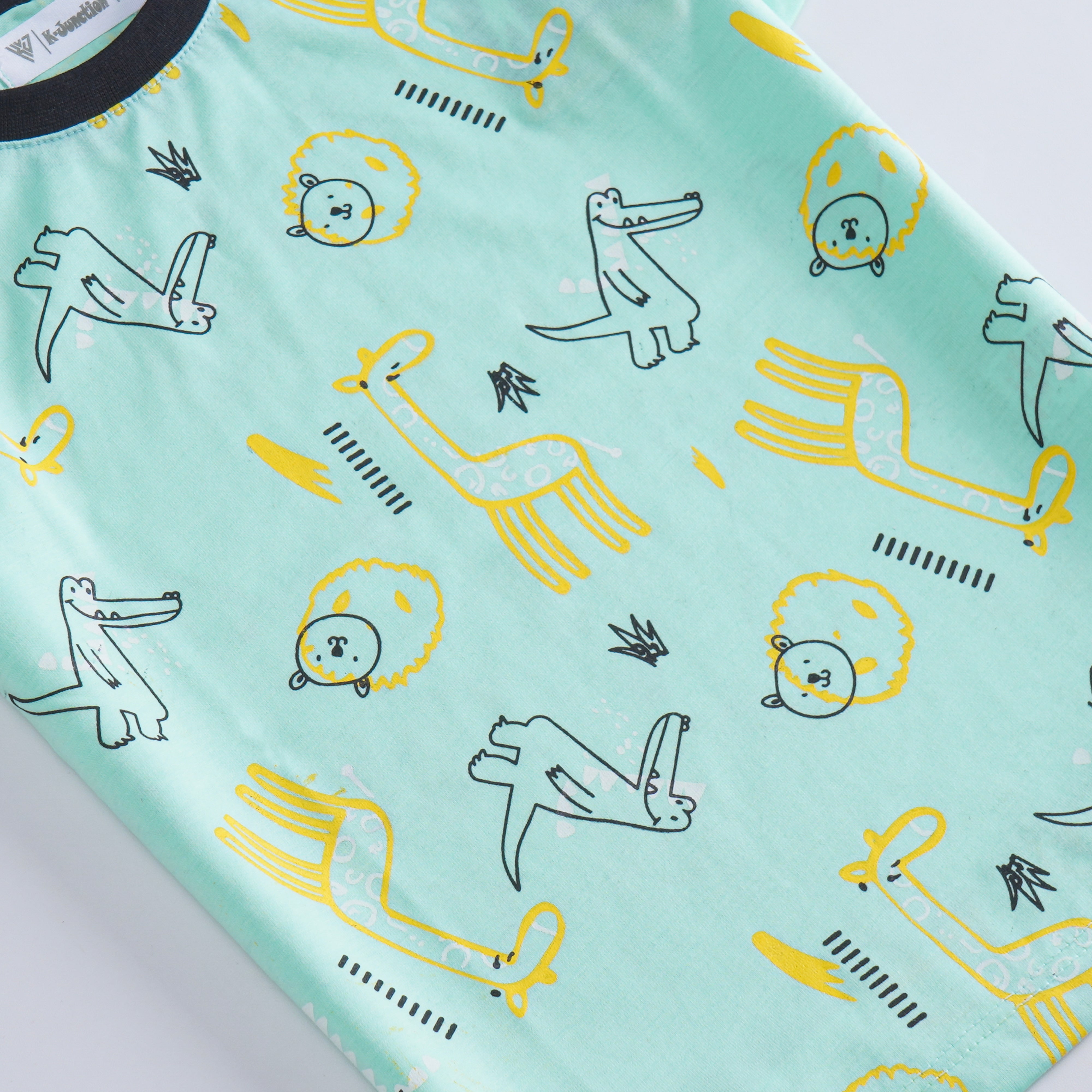 Boys Half Sleeves-Printed T-Shirt