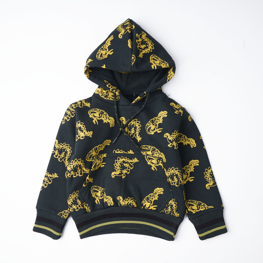 Boys Hoodies (Dino)