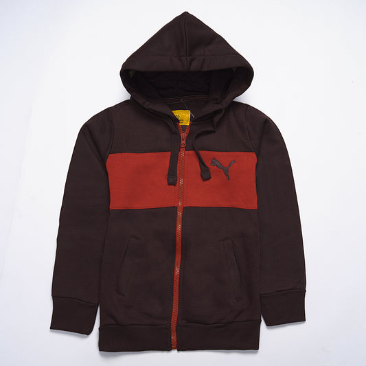 Boys Hoodies (Puma)