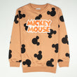 Girls Sweatshirt Color Light Brown Code-B