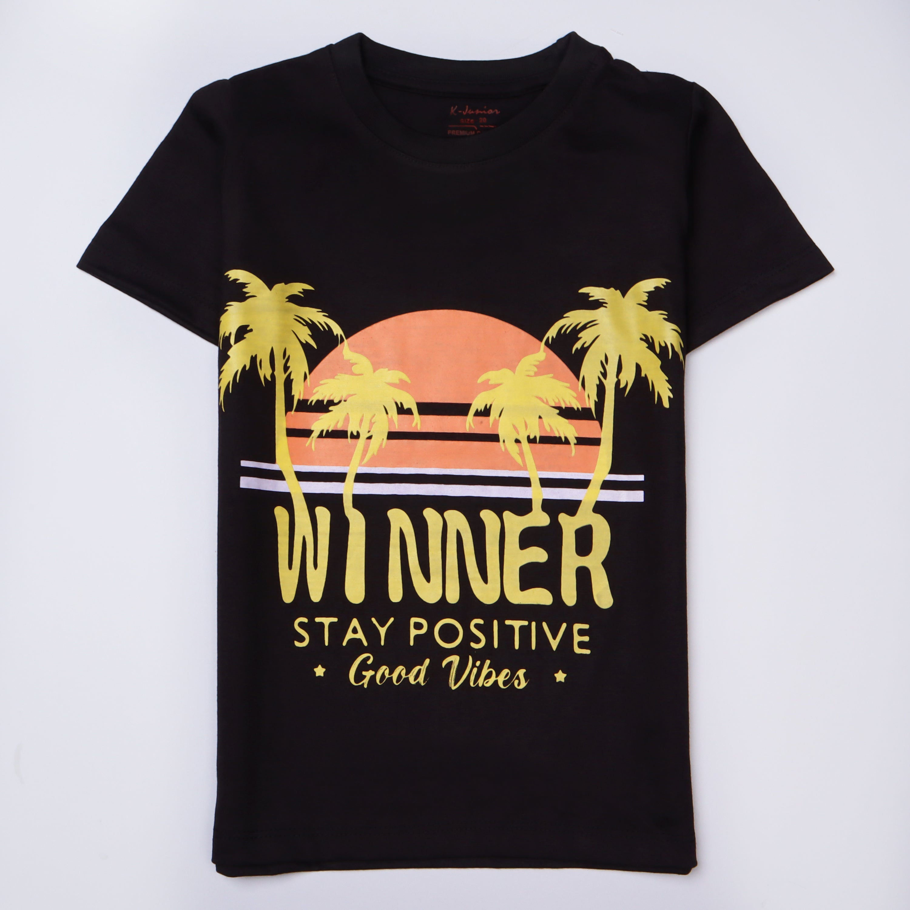 Boys Half Sleeves-Printed T-Shirt (Winner)