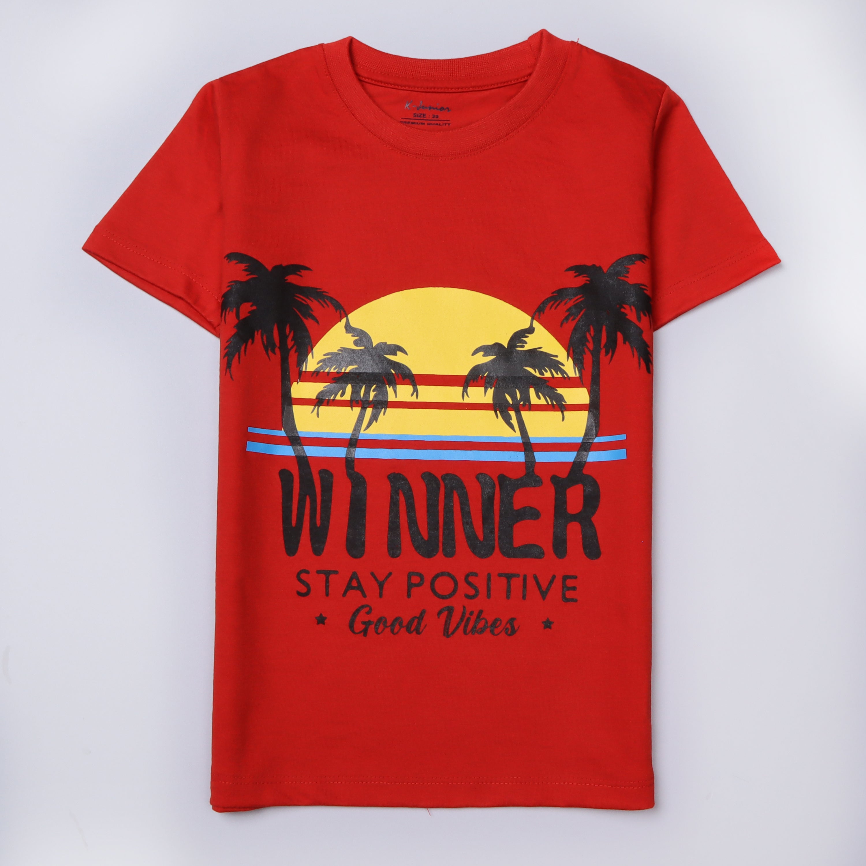Boys Half Sleeves-Printed T-Shirt (Winner)