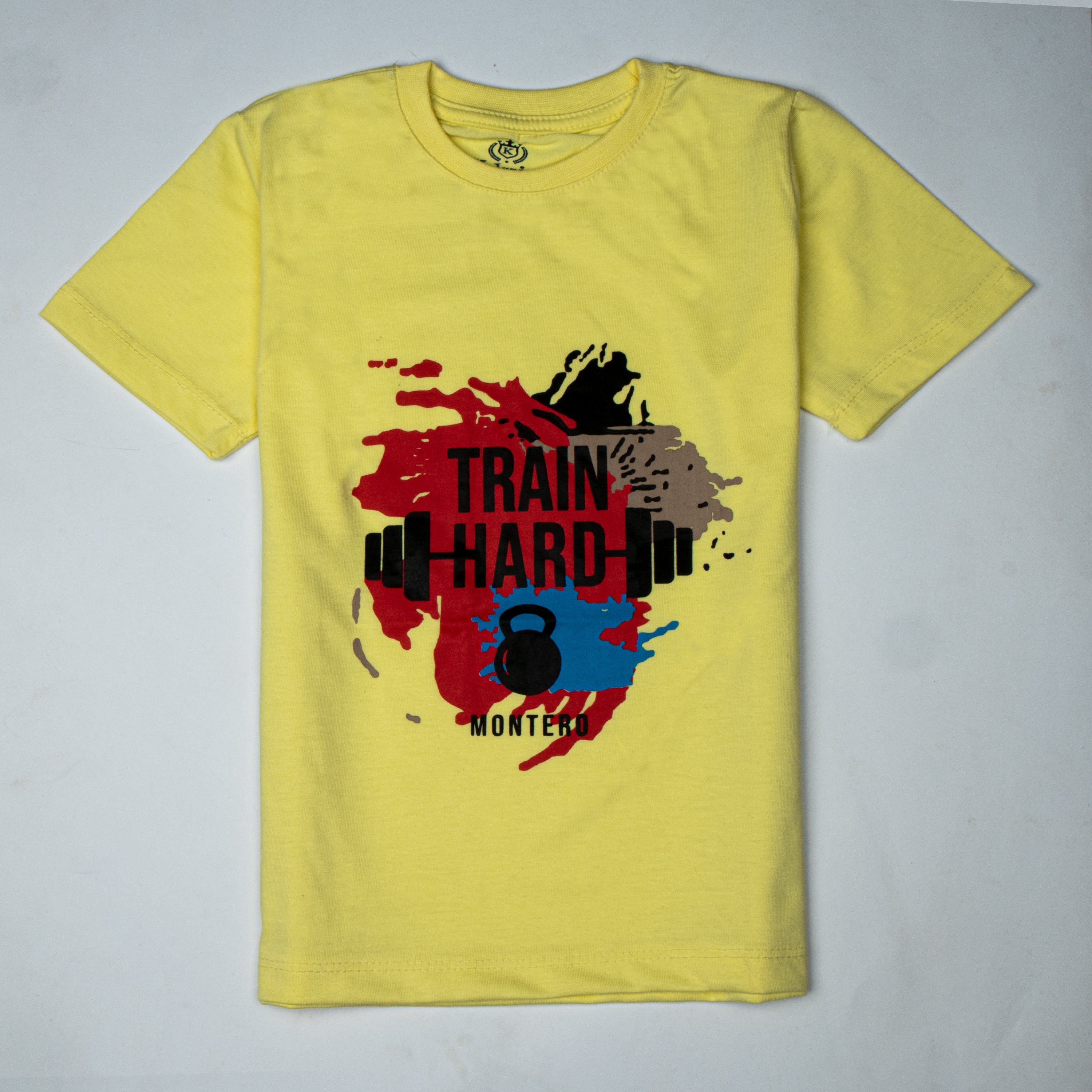 Infant Boys Half Sleeves-Printed T-Shirt (train)