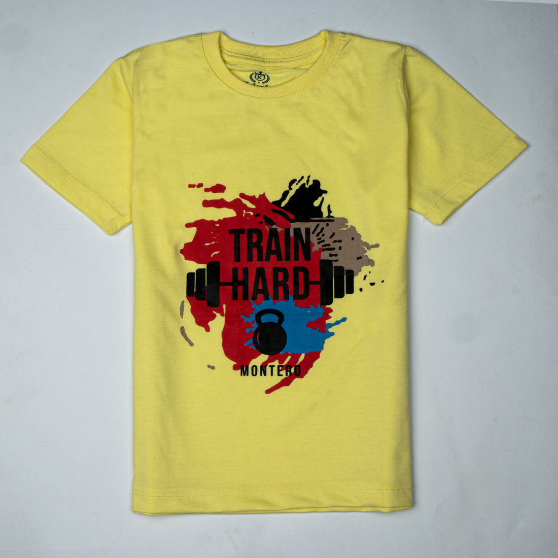 Infant Boys Half Sleeves-Printed T-Shirt (train)