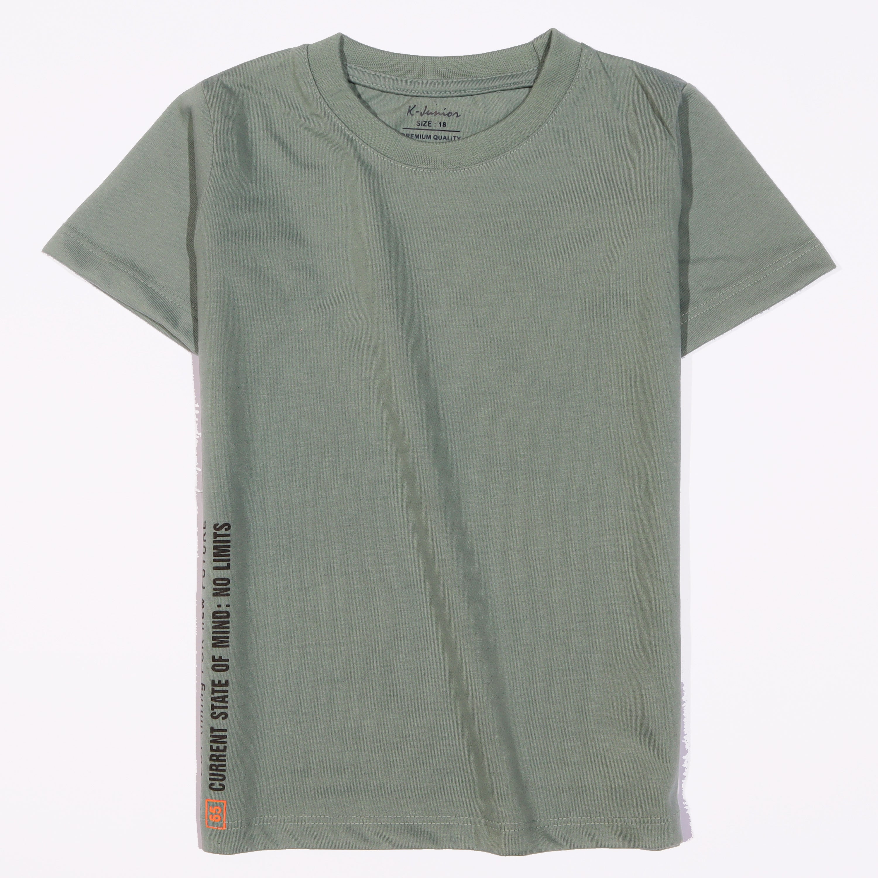Infant Boys Half Sleeves-Printed T-Shirt (Limit)