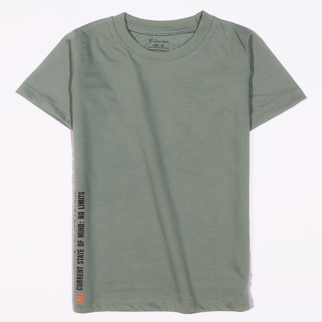 Infant Boys Half Sleeves-Printed T-Shirt (Limit)