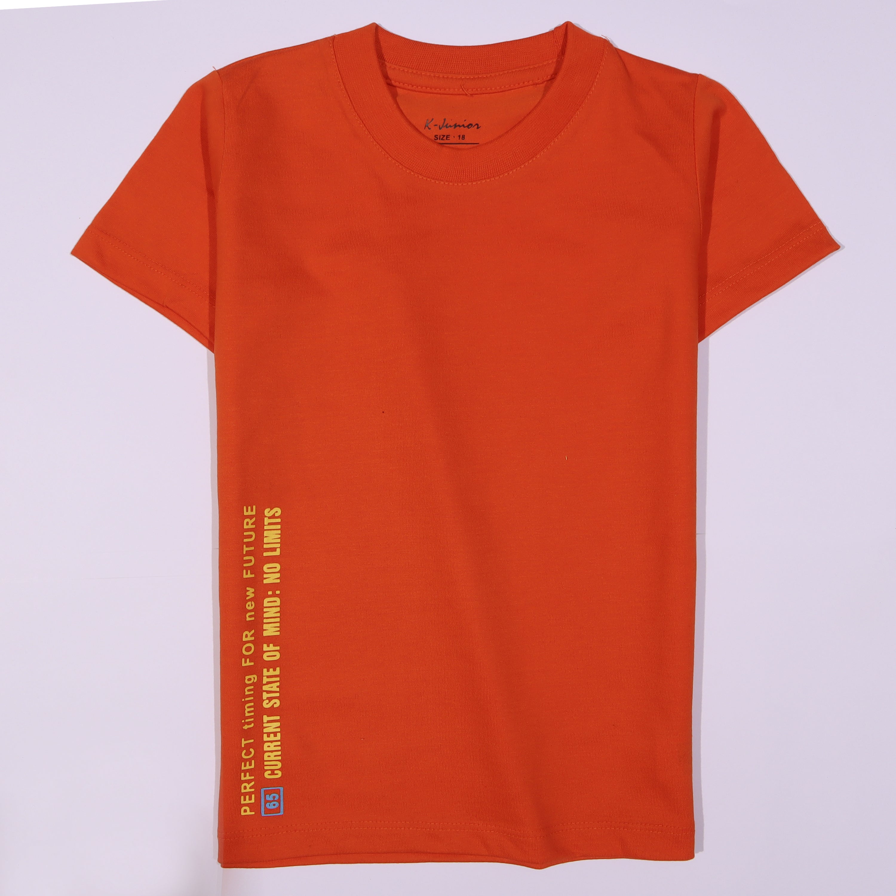 Infant Boys Half Sleeves-Printed T-Shirt (Limit)