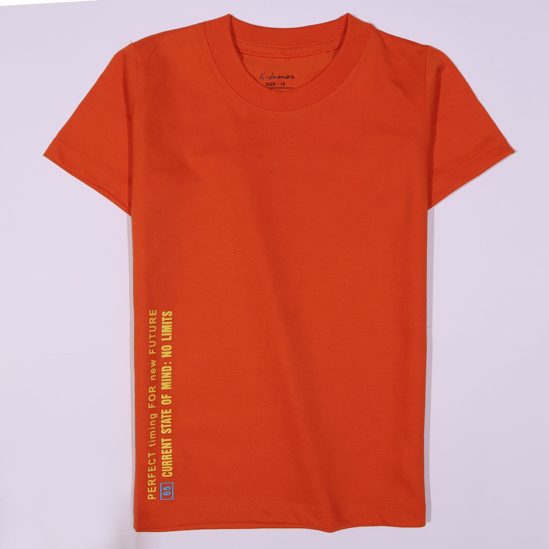 Infant Boys Half Sleeves-Printed T-Shirt (Limit)