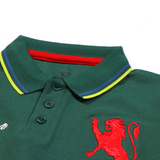 Boys Half Sleeves Polo T-Shirt (Gior)