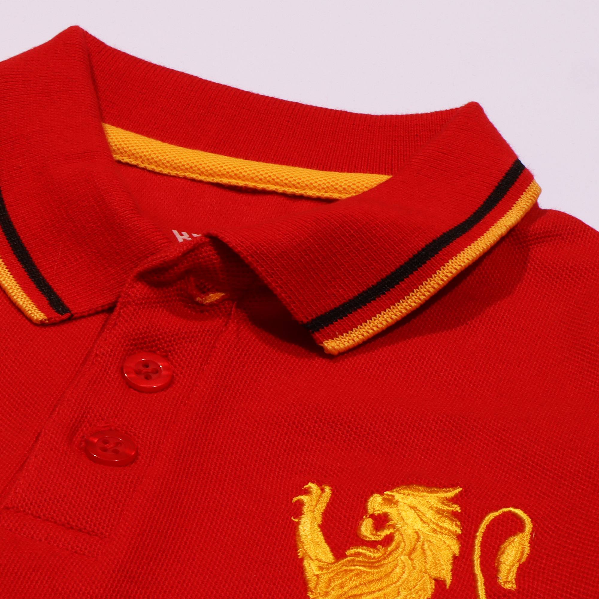 Boys Half Sleeves Polo T-Shirt (Gior)