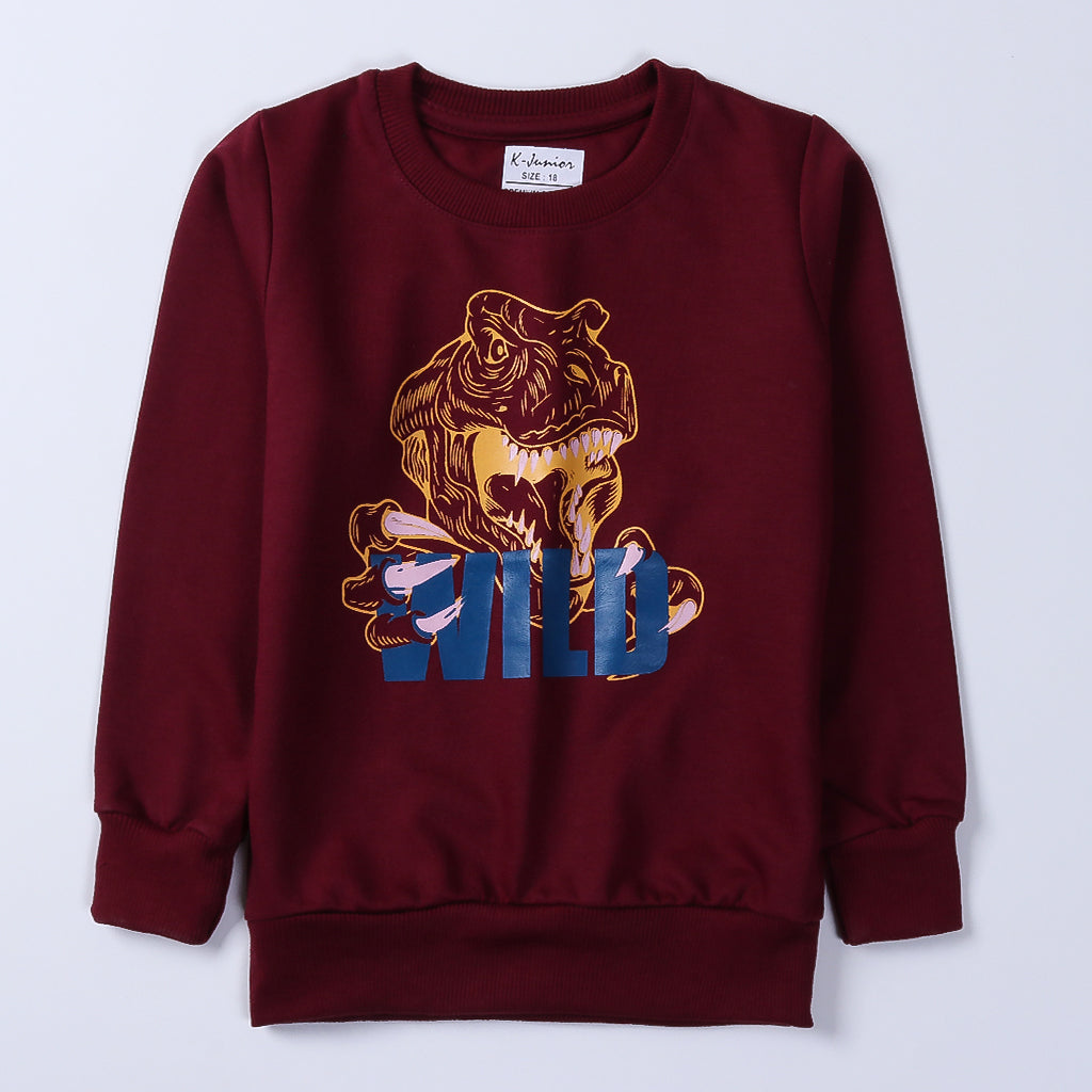 Boys Printed Full Sleeve Sweat T-Shirt (Wild)