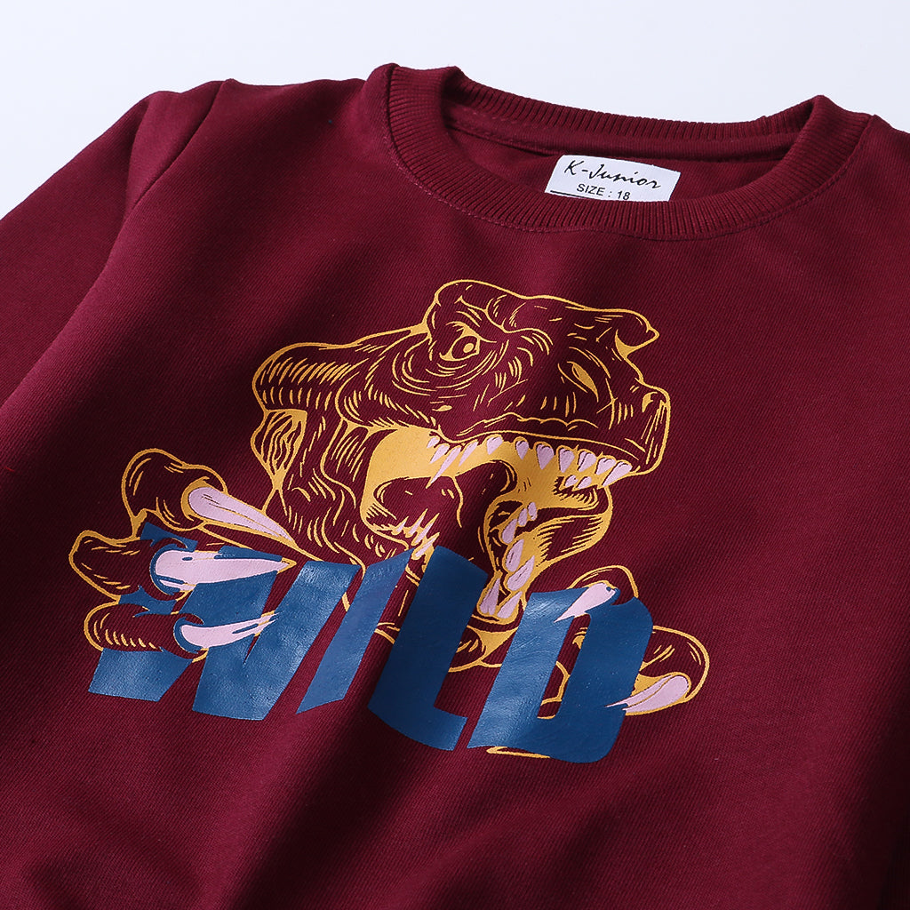 Boys Printed Full Sleeve Sweat T-Shirt (Wild)