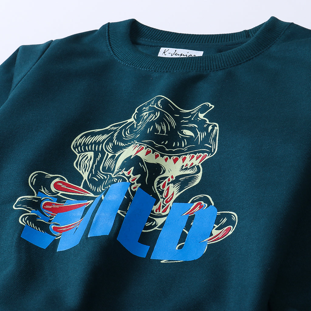 Boys Printed Full Sleeve Sweat T-Shirt (Wild)
