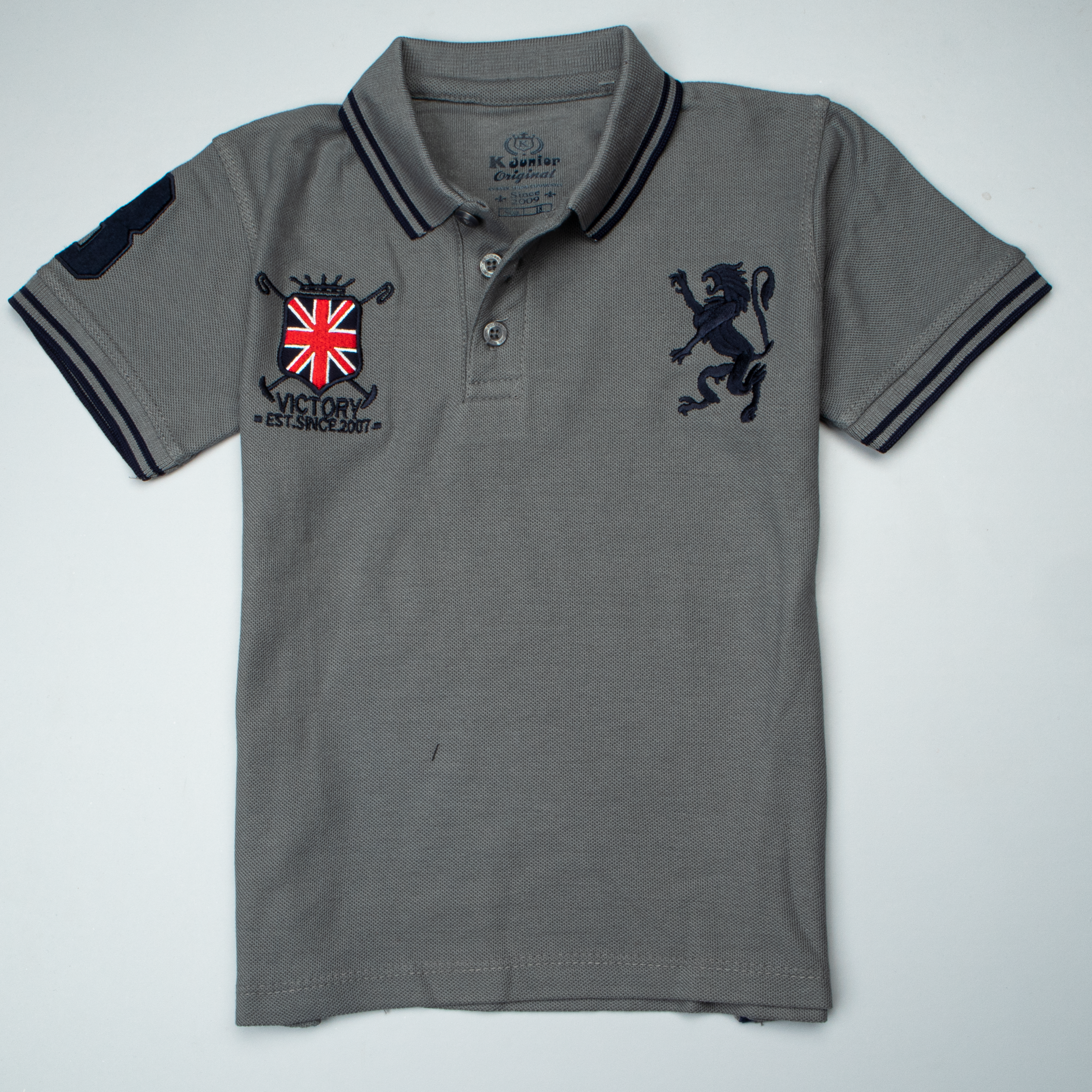 Boys Half Sleeves Polo T-Shirt Color Grey
