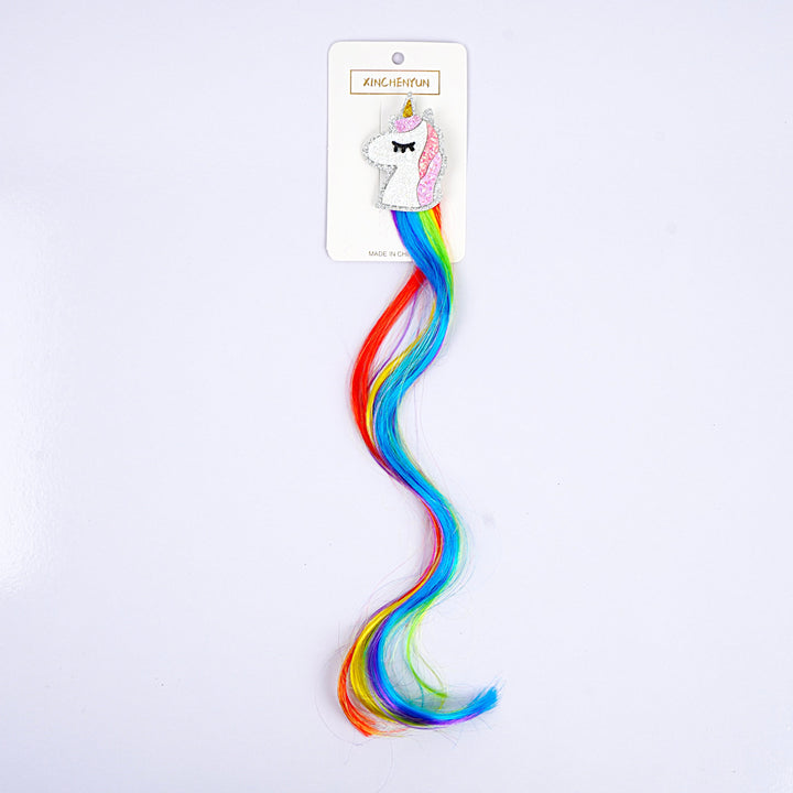 Hair Extension Clip